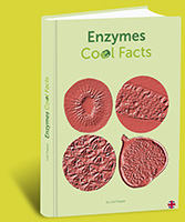 Enzyms - Cool Facts